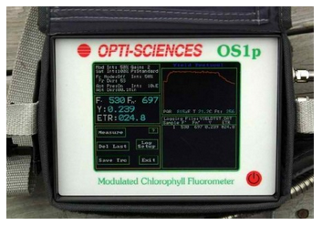Fluorometro de clorofila OS1p (Ultra-Compacto)