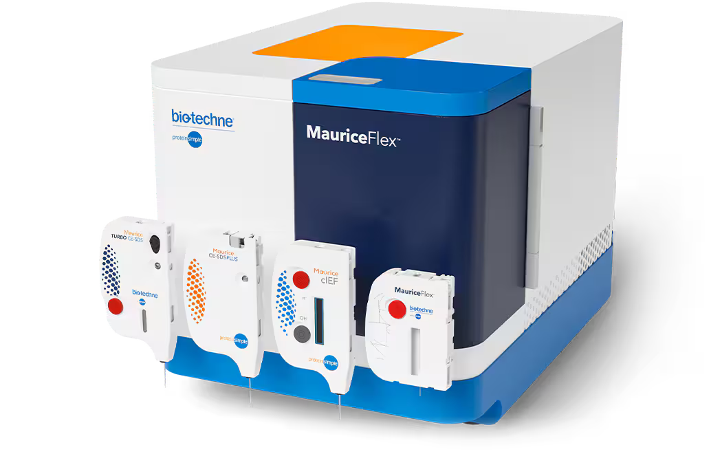 Más allá de los geles: la evolución de la separación de proteínas basada en SDS